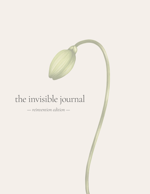 The Invisible Journal cover