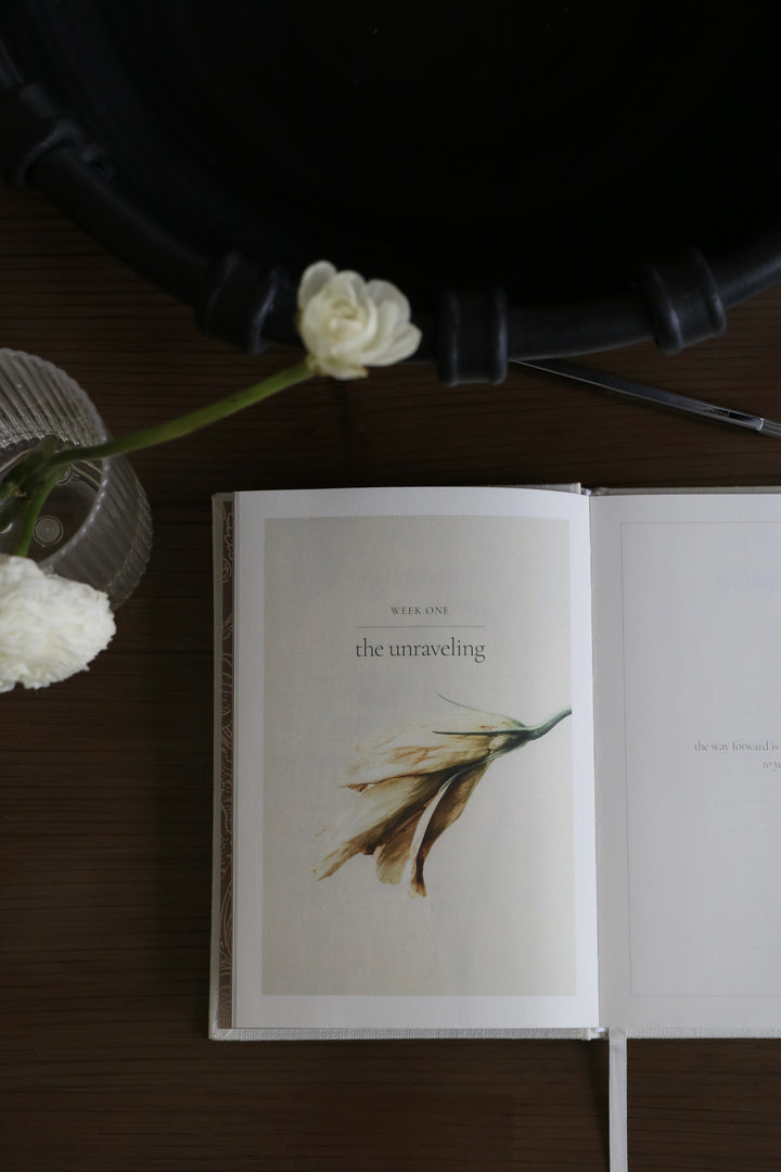 The Reinvention Edition