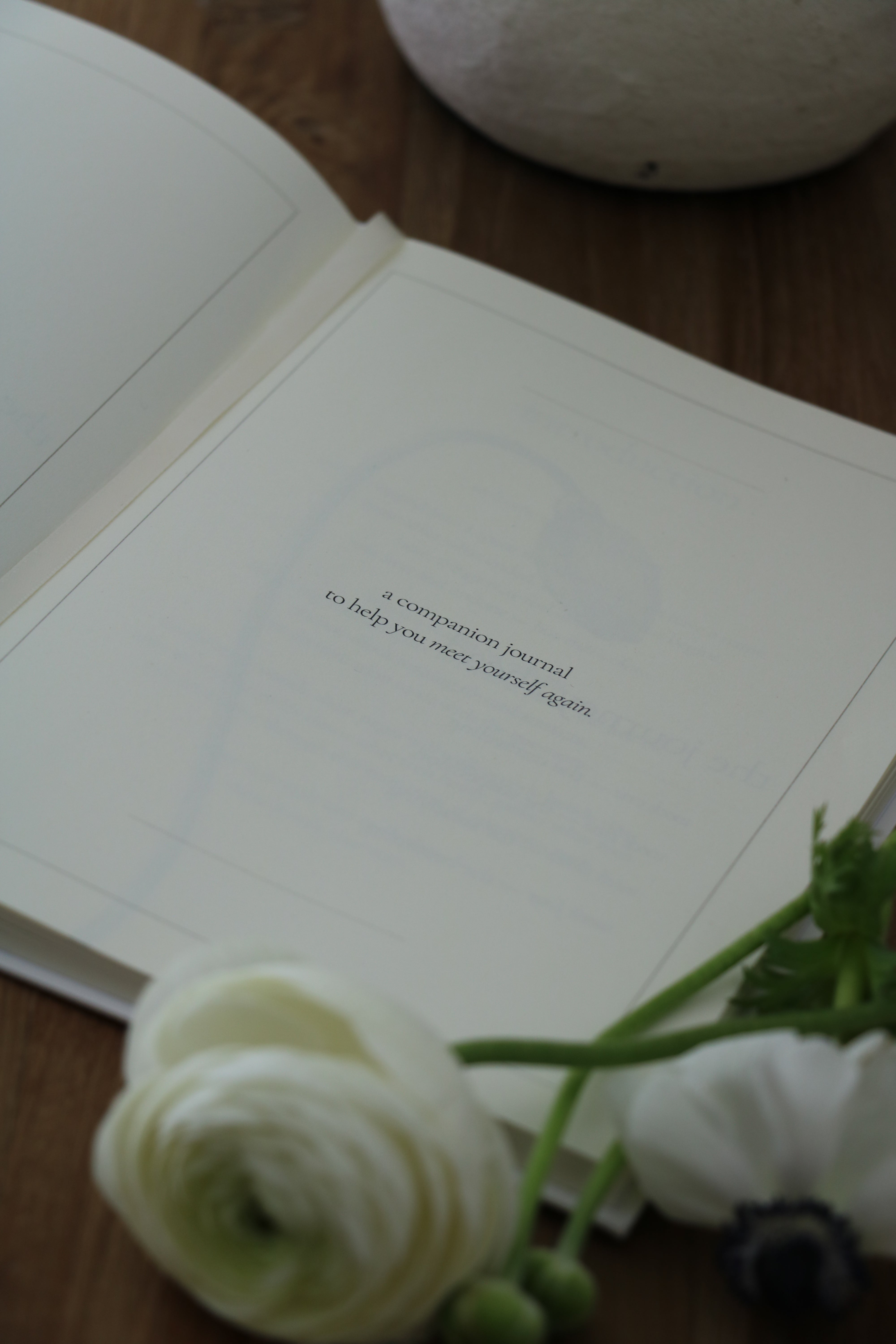 The Reinvention Edition