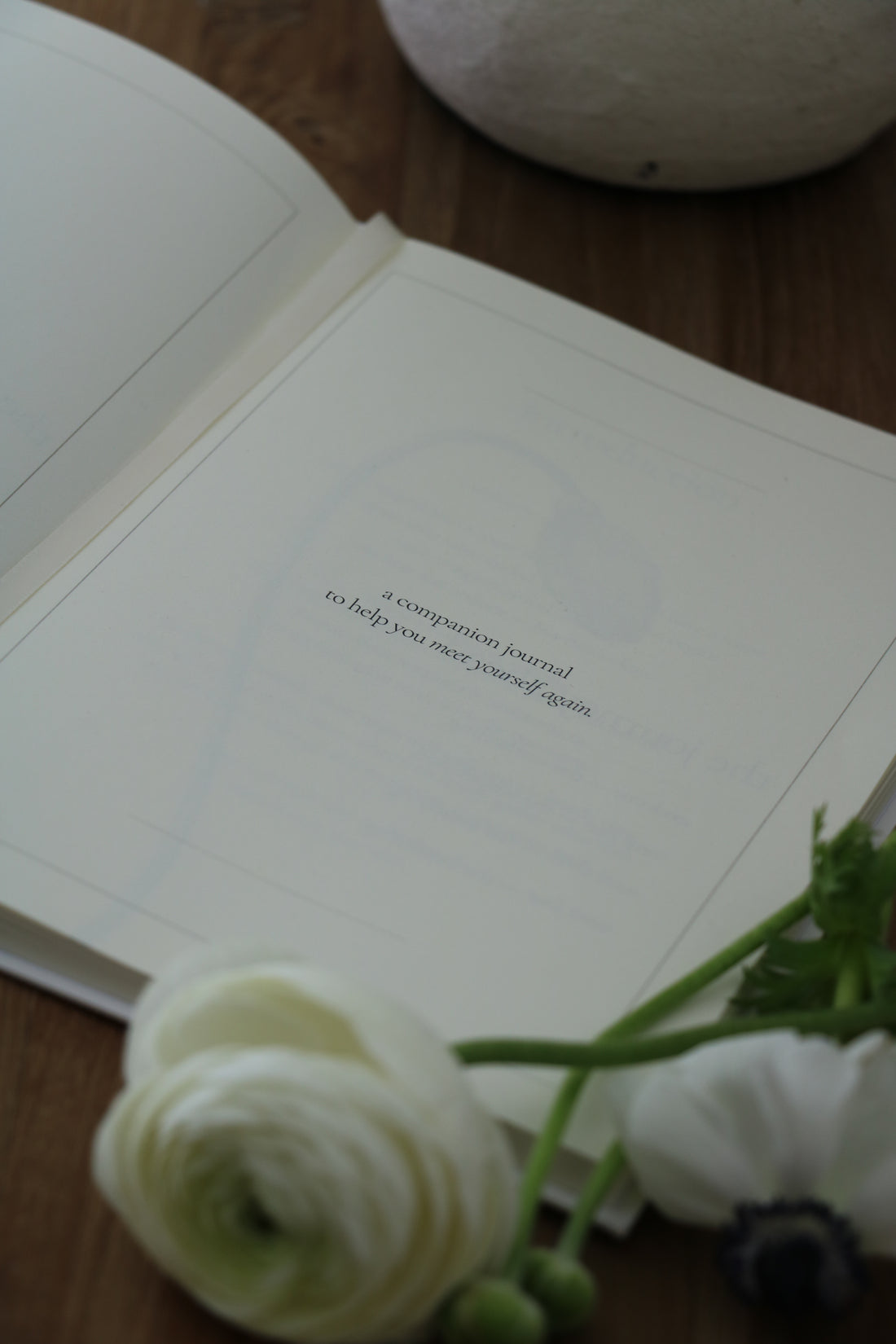 The Reinvention Edition