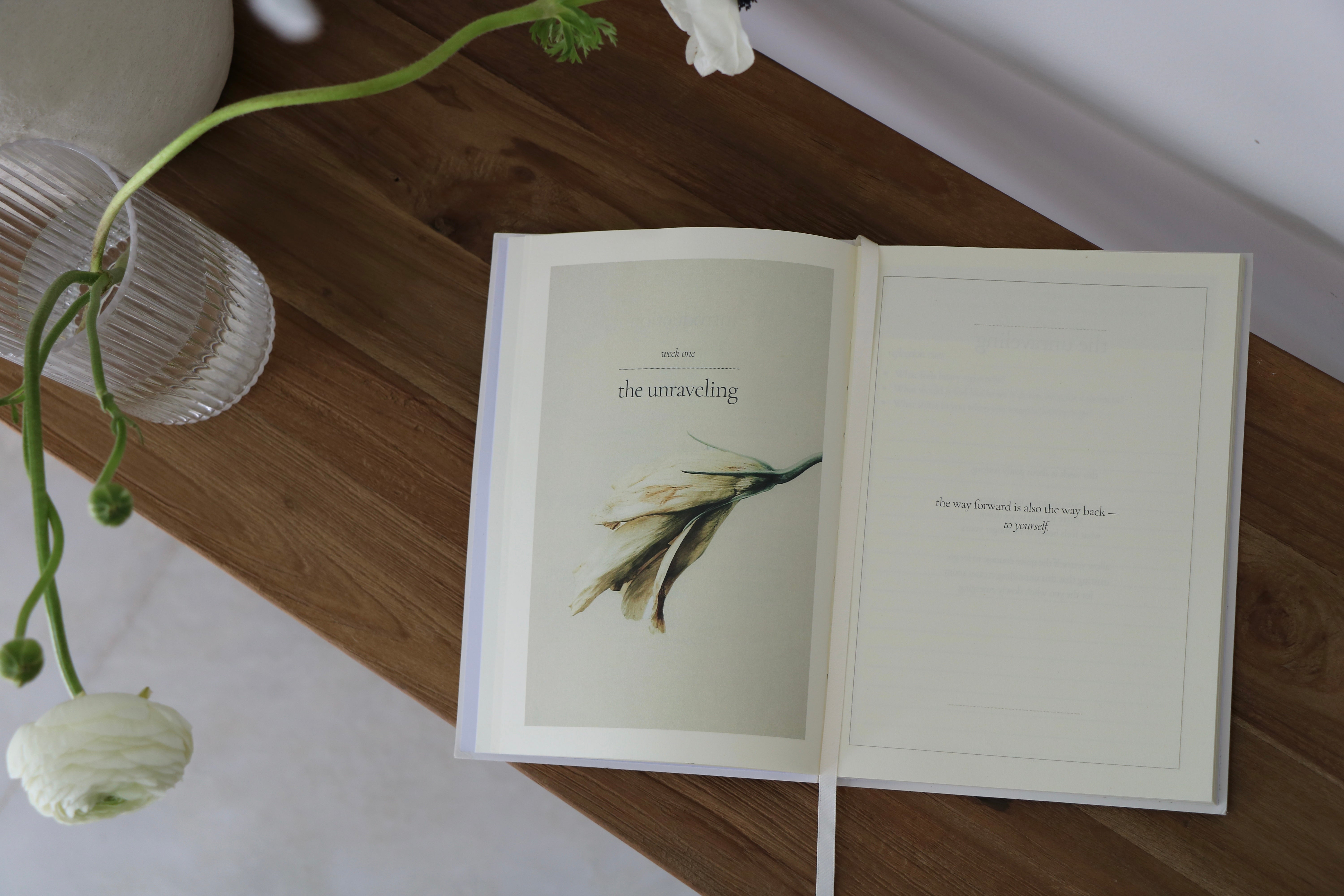 The Reinvention Edition