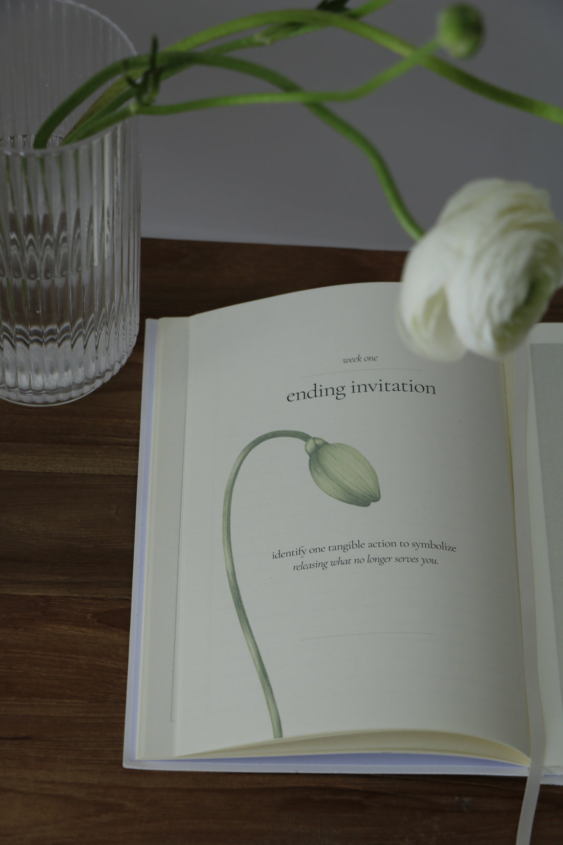 The Reinvention Edition