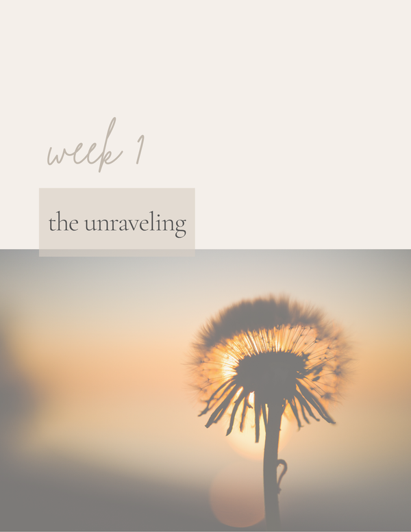 The Invisible Journal sample prompt page
